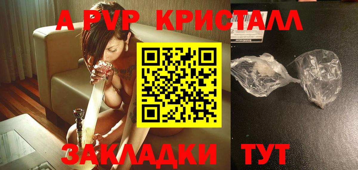 Alfa_PVP СК КРИС Горно-Алтайск