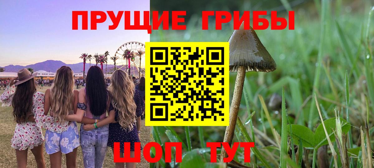 Псилоцибиновые грибы мухоморы  Вход с VPN  Горно-Алтайск 