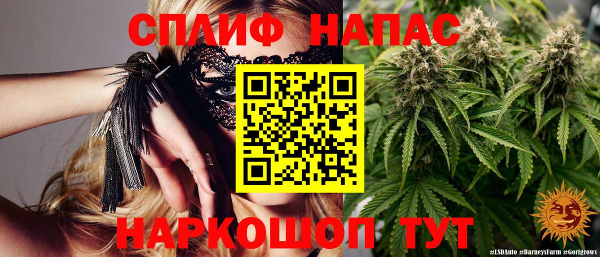Конопля гибрид Горно-Алтайск